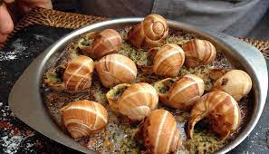 snails